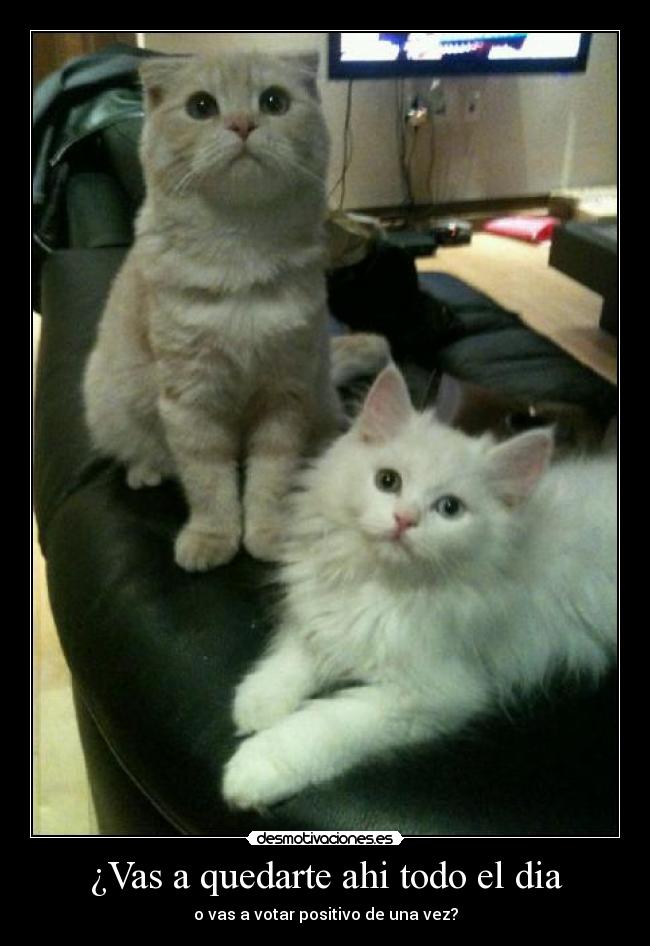 ¿Vas a quedarte ahi todo el dia -