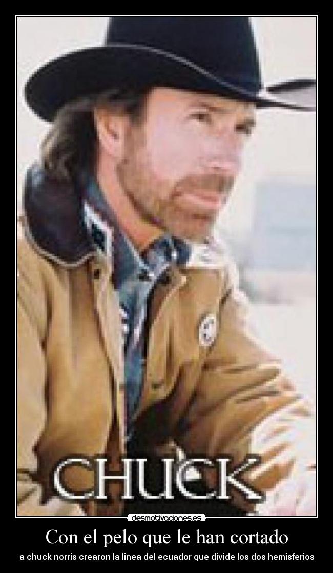 Con el pelo que le han cortado - 