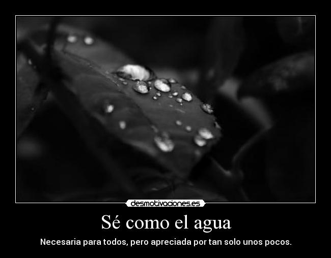 Sé como el agua -