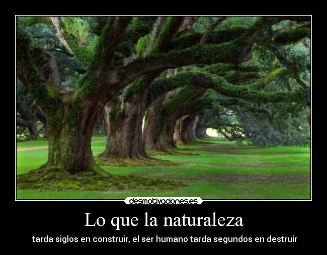 carteles naturaleza naturalezaser humanovidacreardestruirconstruir desmotivaciones