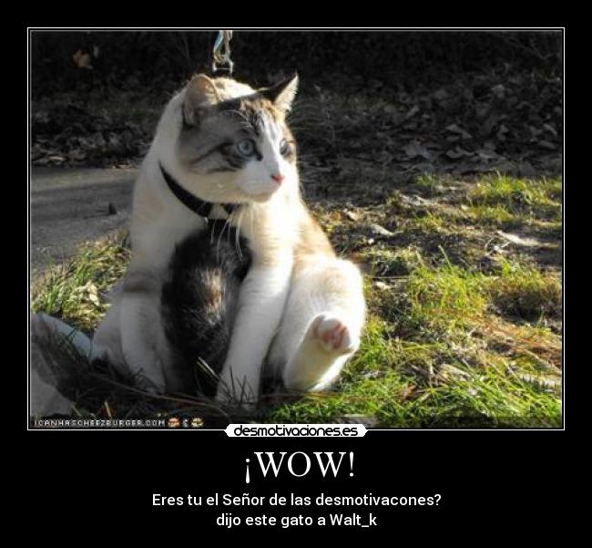 ¡WOW! - 