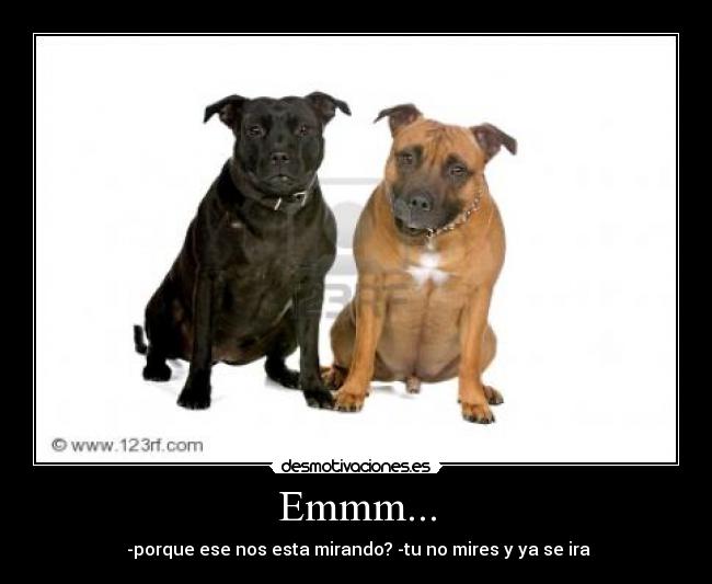Emmm... - 
