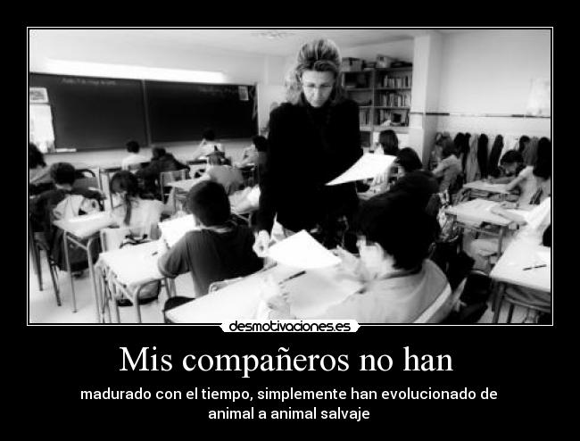Mis compañeros no han - madurado con el tiempo, simplemente han evolucionado de
animal a animal salvaje