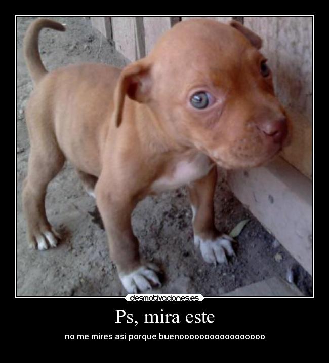 Ps, mira este - no me mires asi porque buenooooooooooooooooo
