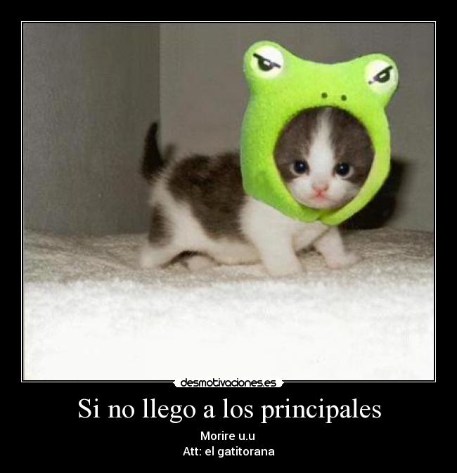 Si no llego a los principales -