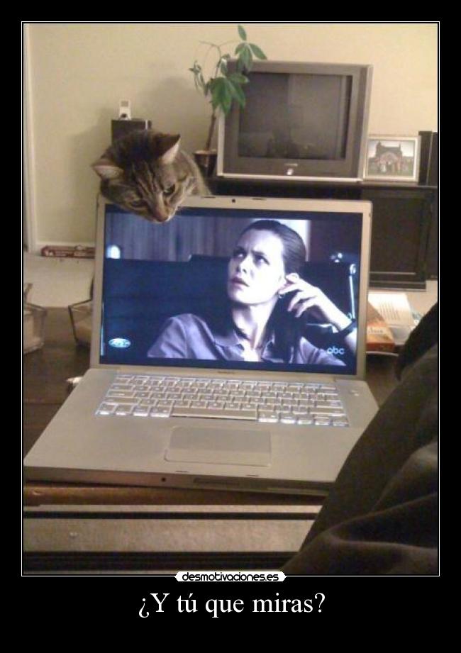 carteles pan desmotivaciones