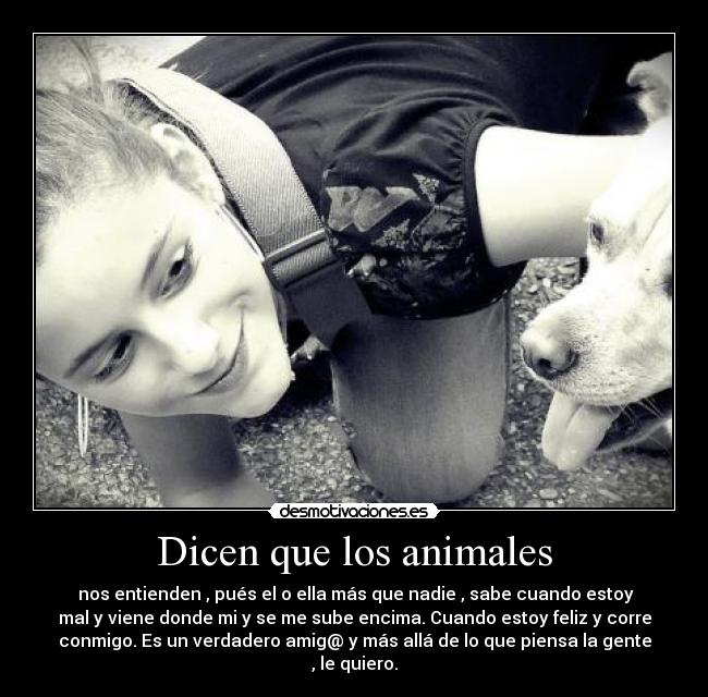 Dicen que los animales -