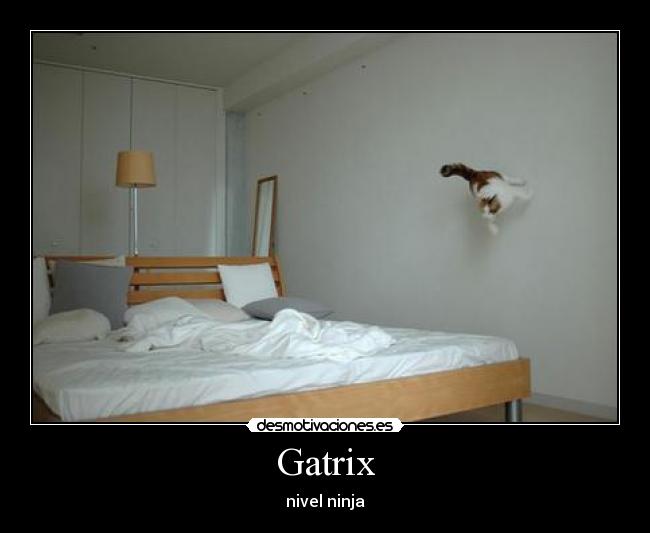 Gatrix - 