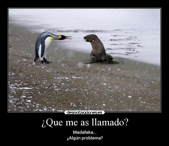 ¿Que me as llamado? -