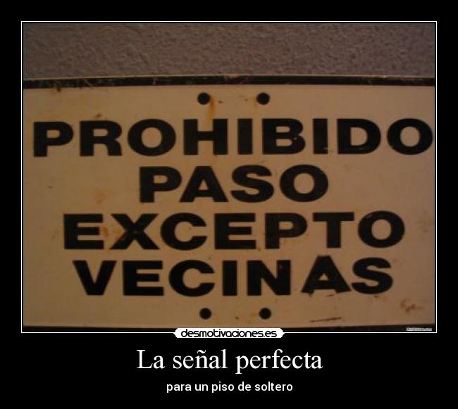 La señal perfecta - 