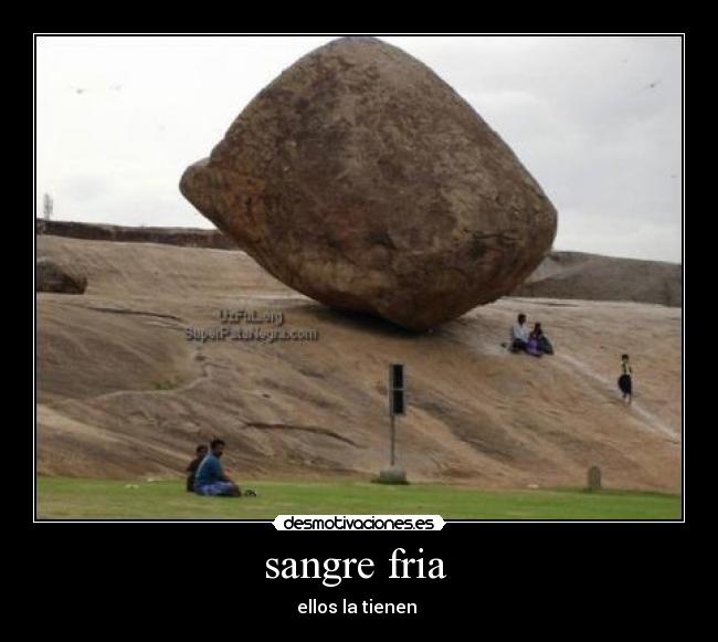 sangre fria  - 