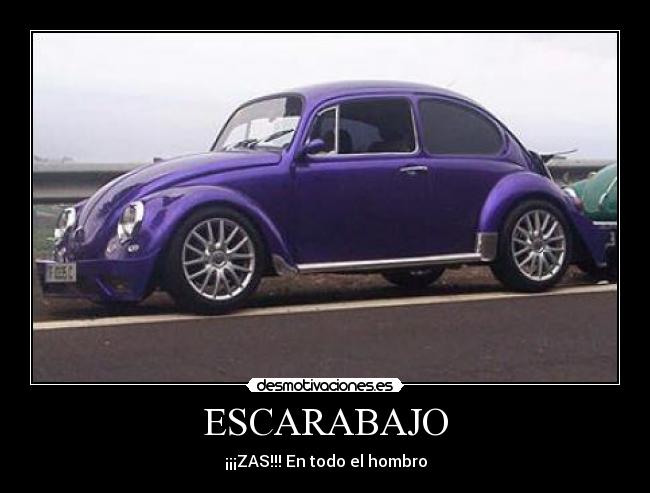 ESCARABAJO -