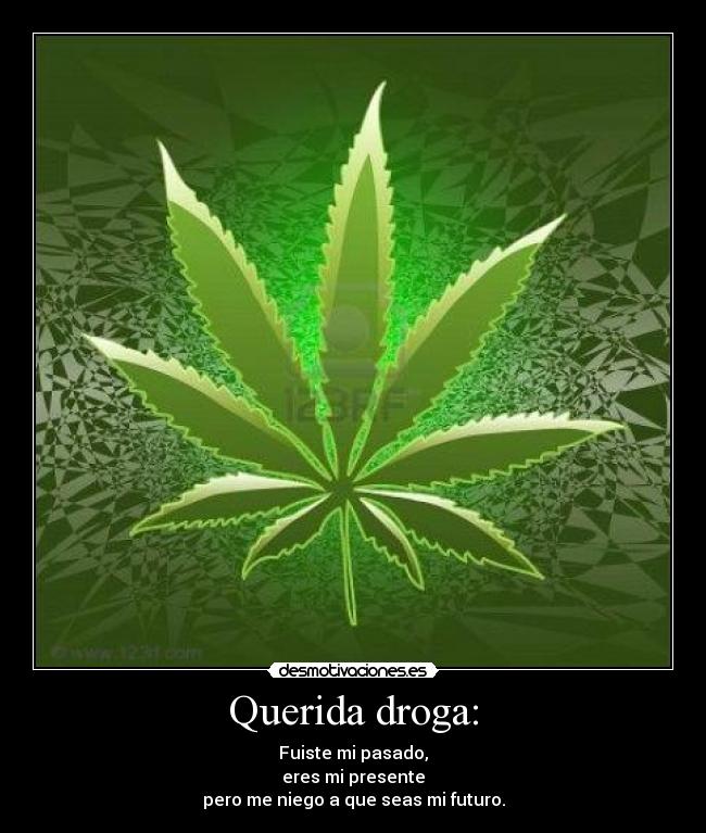 Querida droga: - Fuiste mi pasado,
eres mi presente
pero me niego a que seas mi futuro.