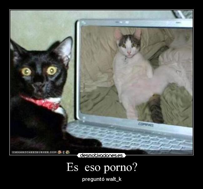 Es  eso porno? - 