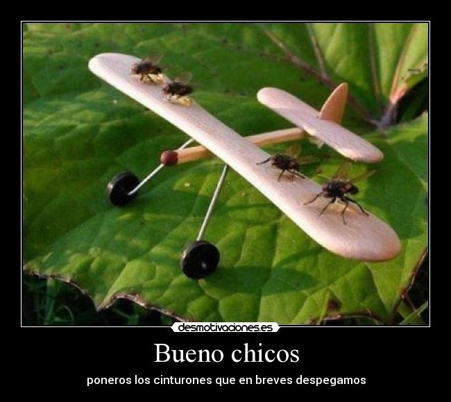 Bueno chicos - poneros los cinturones que en breves despegamos