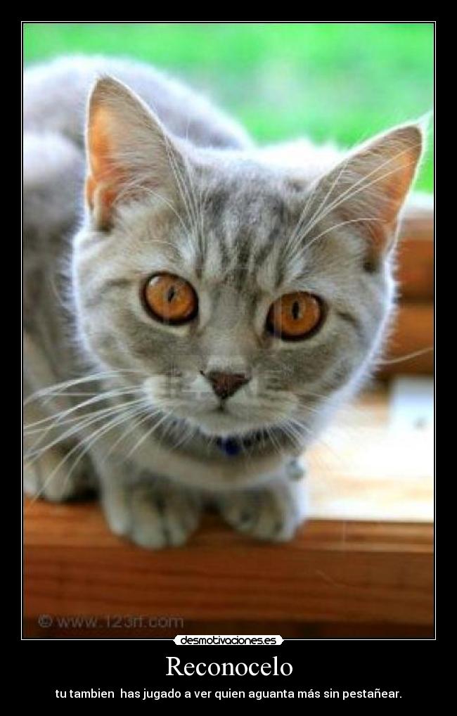 Reconocelo -