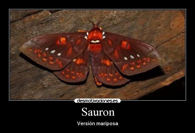 Sauron - Versión mariposa