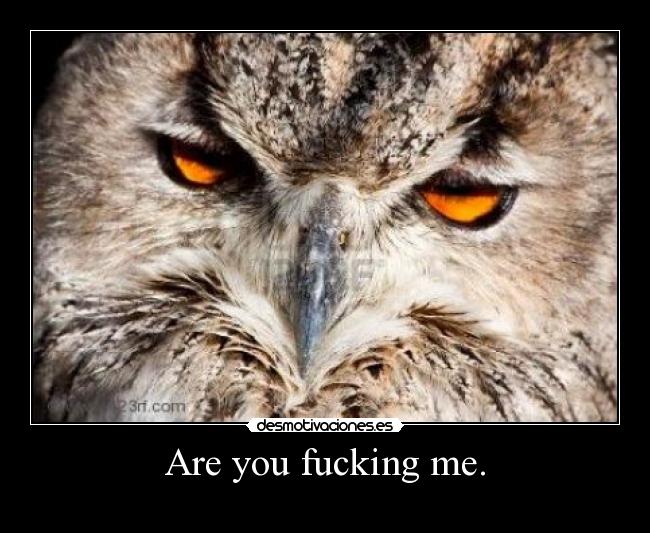 Are you fucking me. - 