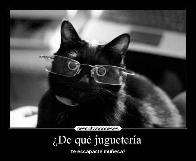 ¿De qué juguetería  - 