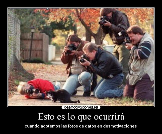 Esto es lo que ocurrirá - cuando agotemos las fotos de gatos en desmotivaciones 