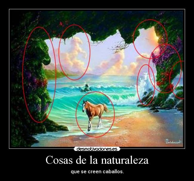 Cosas de la naturaleza - que se creen caballos.