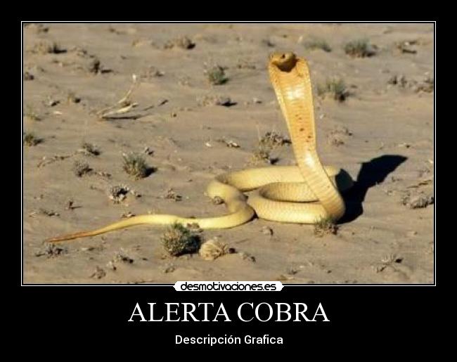carteles alerta cobra desmotivaciones