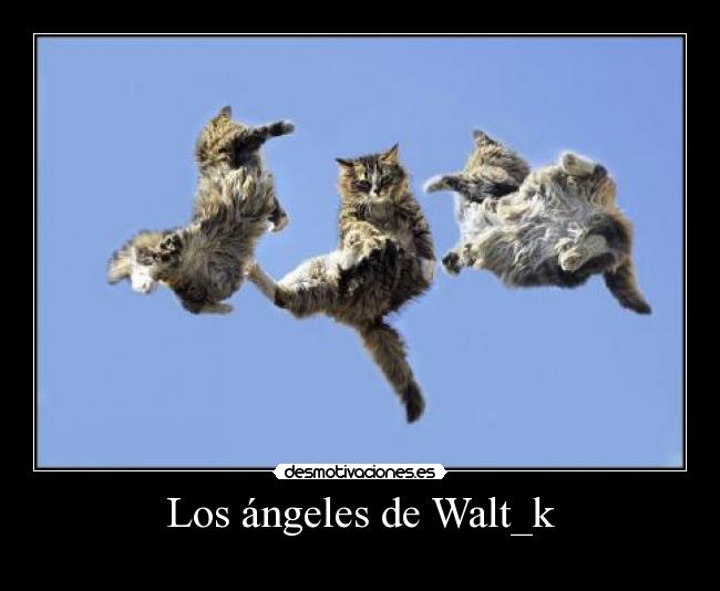 Los ángeles de Walt_k - 