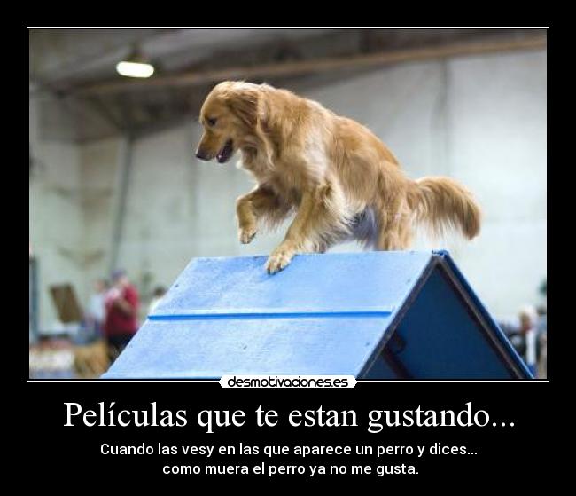Películas que te estan gustando... - Cuando las vesy en las que aparece un perro y dices...
como muera el perro ya no me gusta.