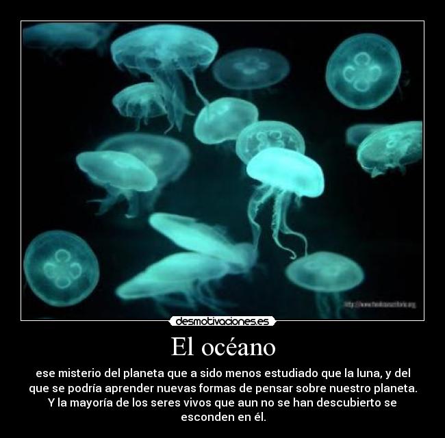 El océano - ese misterio del planeta que a sido menos estudiado que la luna, y del
que se podría aprender nuevas formas de pensar sobre nuestro planeta.
Y la mayoría de los seres vivos que aun no se han descubierto se
esconden en él.