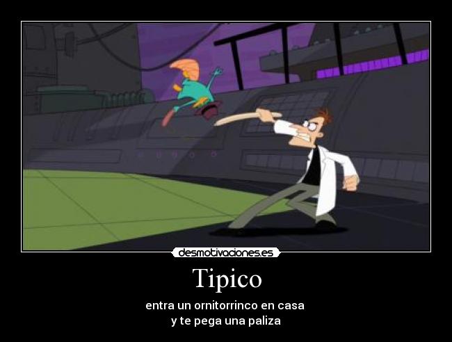 Tipico - 