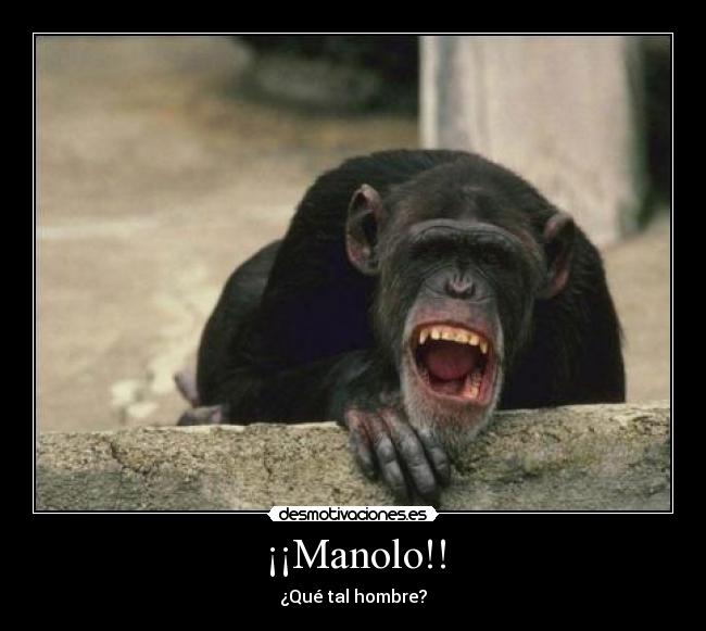 ¡¡Manolo!! - ¿Qué tal hombre?