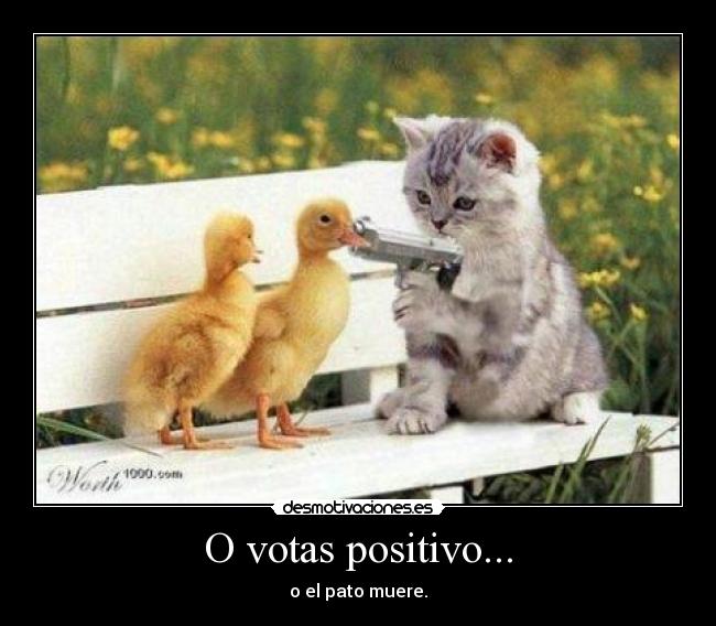 O votas positivo... -