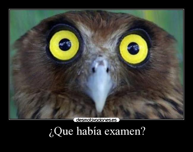 ¿Que había examen? -