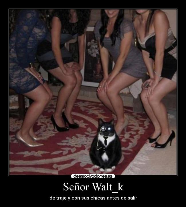 Señor Walt_k -