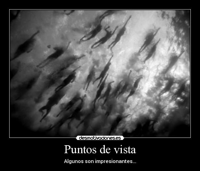 Puntos de vista -