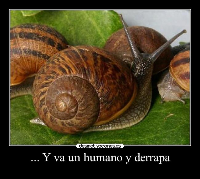 ... Y va un humano y derrapa -