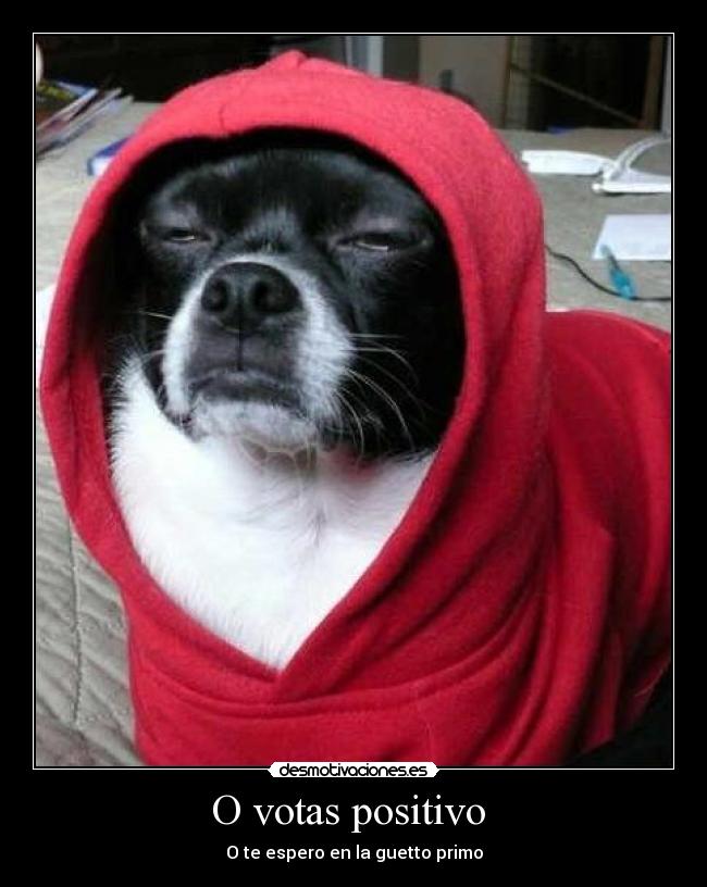 O votas positivo - O te espero en la guetto primo