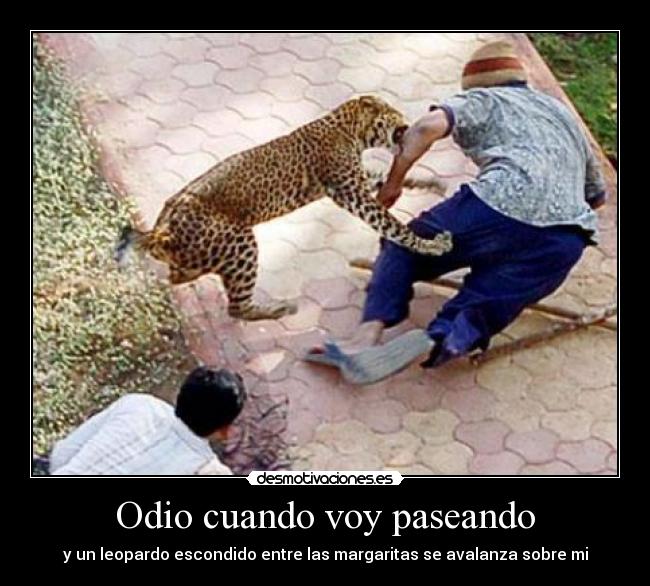 Odio cuando voy paseando - 