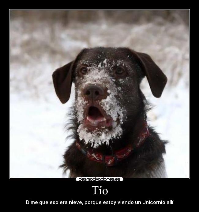 Tío - 