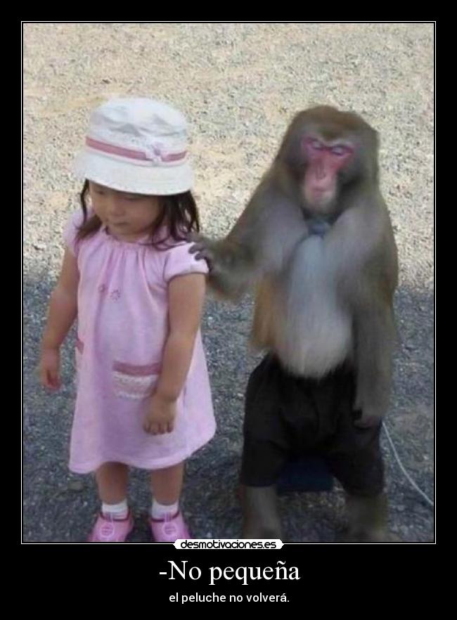 -No pequeña - 