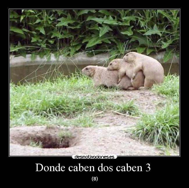 Donde caben dos caben 3 - (8)