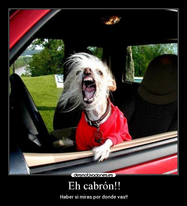 Eh cabrón!! - 