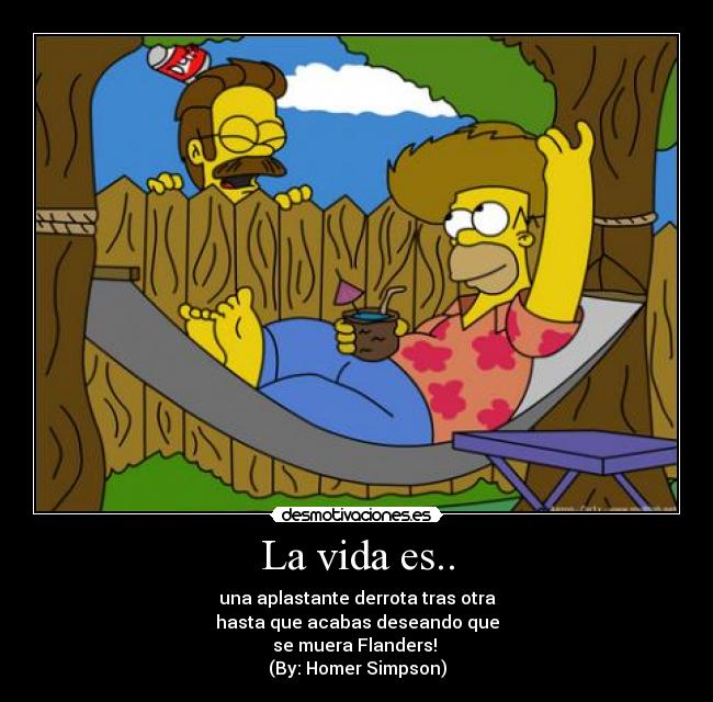La vida es.. - 
