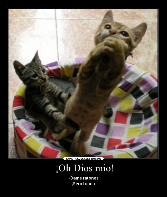 ¡Oh Dios mio! - 