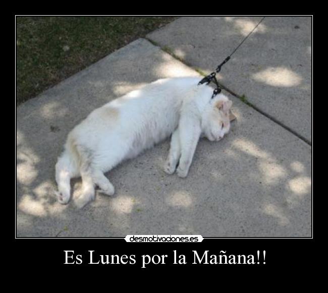 Es Lunes por la Mañana!! - 