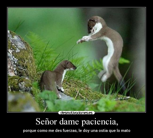 Señor dame paciencia, - porque como me des fuerzas, le doy una ostia que lo mato