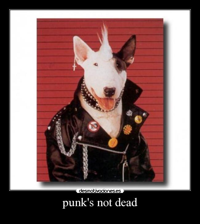 punks not dead -