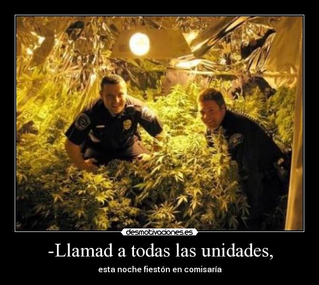 carteles walt_k comisaria policia marihuana fieston desmotivaciones