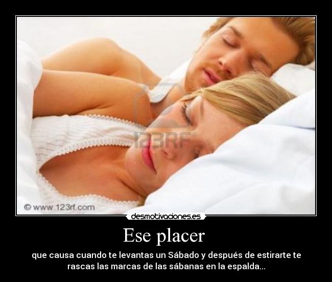 Ese placer - que causa cuando te levantas un Sábado y después de estirarte te
rascas las marcas de las sábanas en la espalda...