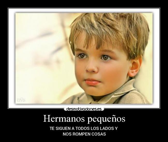 Hermanos pequeños - TE SIGUEN A TODOS LOS LADOS Y
NOS ROMPEN COSAS
